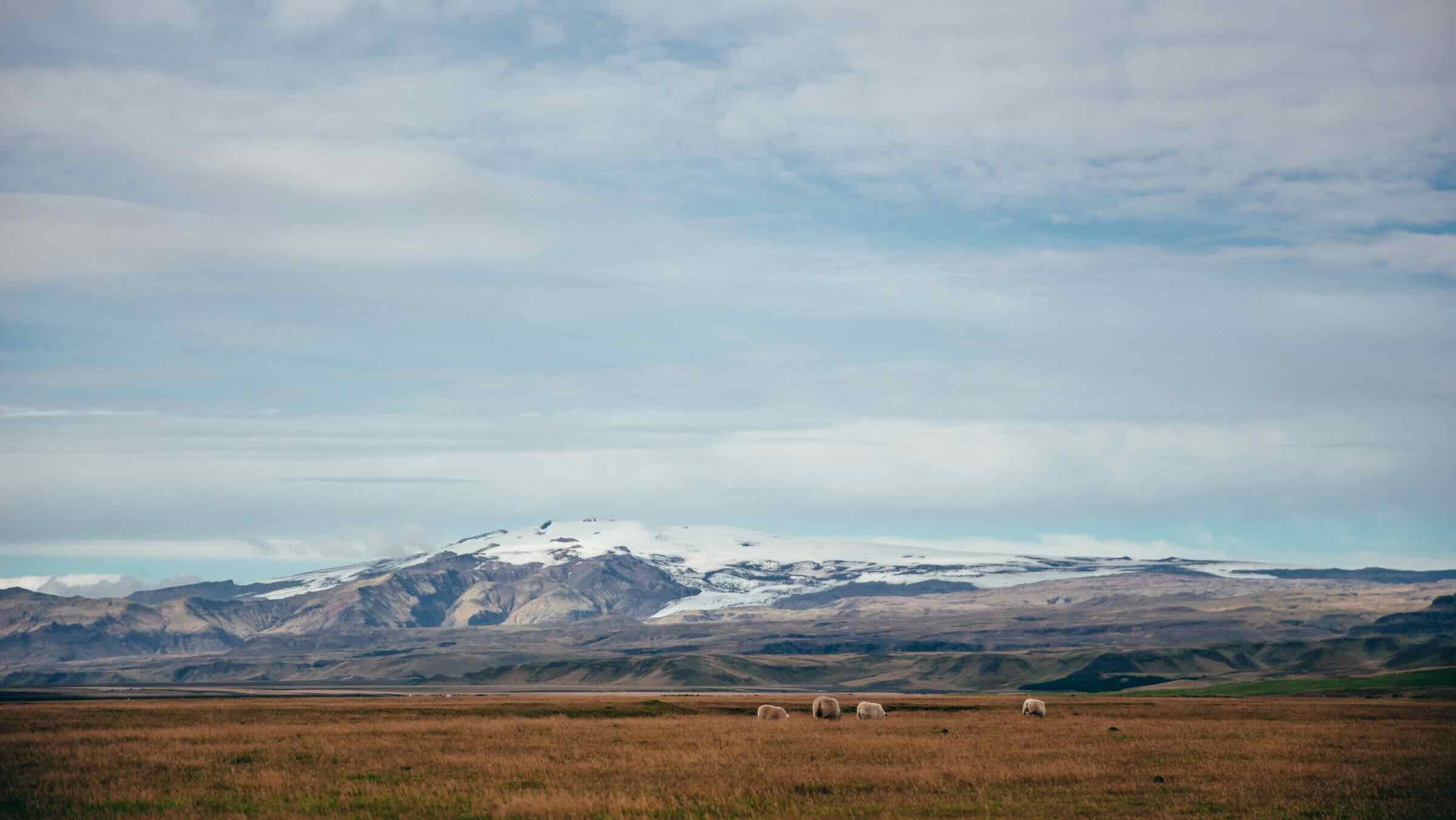The science behind smelly socks